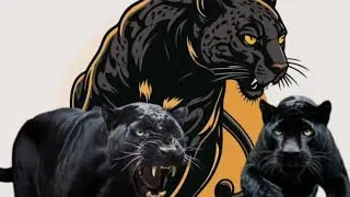 Wild Panther Sim 3D - Jogando pelo computador 🐈&zwj;⬛&hearts;️