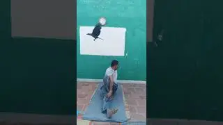 Vackrasana