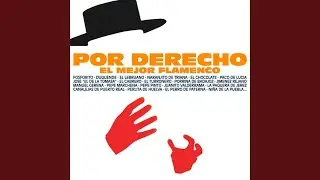 Muñeco de trapo