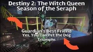 Good Boy Protocol Triumphs &ndash; Destiny 2: The Witch Queen - Season of the Seraph