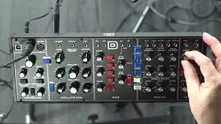 William Beckers Full Review Behringer Model D (French - FR)