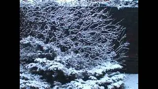 Southall.  Snow January 2007