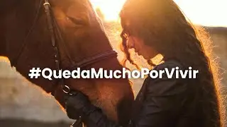 El v&iacute;nculo con el caballo mayor