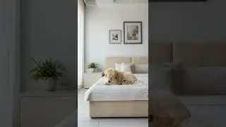 Cozy Morning Vibes 🐶 | Minimal Bedroom with Fluffy Dog | Stock Footage 4K #lifestyle #stockfootage