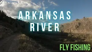 Summertime and Stoneflies - Fly Fishing the Arkansas River near Buena Vista, CO - Aug 2023
