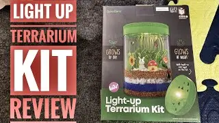 Light up Terrarium kit for kids Review #terrarium #terrariumplants #kidsdiy #plants #growingplants