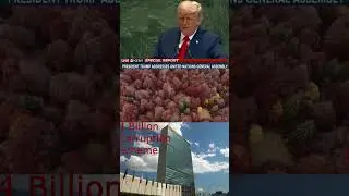United Nations Corruption Brought To Light! Watch Now! #unitednations #usa #nato #corruptionexposed