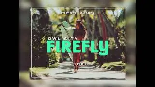 Firefly _ Owl city (Dvddy Tee Ex || Manngoboii) 675 Moombah Bounce 🇵🇬2025