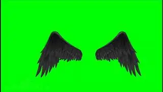 .&bull; Black Wings &bull;. // Green Screen \\