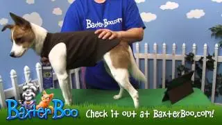 Casual Canine Basic Ribbed Dog Tank Top   Chocolate