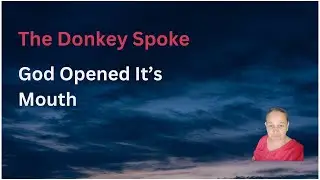The donkey spoke - God opened it's mouth