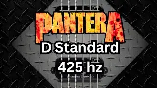 D Standard (425 hz) Tuner - Pantera Tuning Guide
