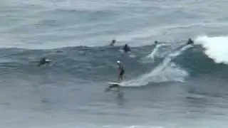Jungle Surf TV   1