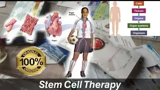 𝙷ow to use Stem cell Therapy // 𝙲𝚛𝚢𝚜𝚝𝚊𝚕 𝚌𝚎𝚕𝚕 //Mioibagi hakchangda leiramba anaba sing laina fahanba
