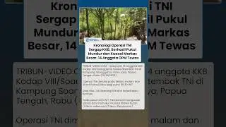 Kronologi TNI Sergap Markas Besar KKB di Intan Jaya, 14 Anggota OPM Tewas dan Barang Bukti Diamankan