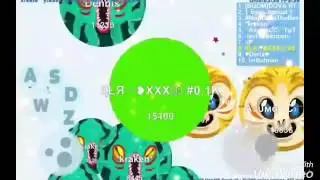 Petridish // EPIC POPSPLIT // Easy game
