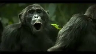 #ChimpEmpire, #ChaskisVideoClips-AI