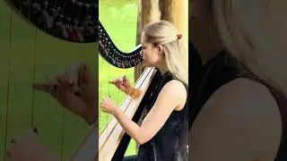 The Rains of Castamere (Lannister Song) on a lever harp