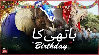 Birthday of two elephants celebrated in Safari Park Karachi