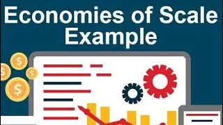 What are Economies of Scale? | Understanding Cost Advantages and Business Efficiency
