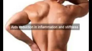 Shoulder Joint Pain Solutions Risk Free Trial
