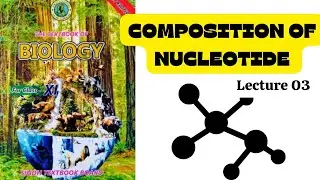 LECTURE 03 from new stb book Introduction to nucleic acid and nucleotide |  types of nucleotides |