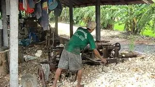 Mango Wood Removing the Bark.AVI