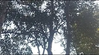 ✅सभी यूट्यूब फैमिली को मकर संक्रांति की हार्दिक शुभकामनाएं 🙏