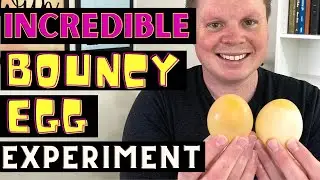 Bouncy Egg Experiment For Kids | Egg Experiments To Do At Home | Cool Egg Experiment