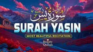 Surah Yaseen سورة يس | Ultimate Soothing & Relaxing Recitation for Your Soul by Alaa Aqel #yasin