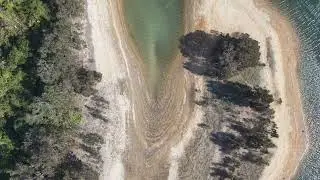 大棠楓樹林
