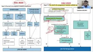 Metastatic Bladder Cancer | EAU 2024 guidelines Update | Dr Ankit Goel FRCS Urology