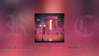 BIRDS OF A FEATHER x MIDNIGHT CITY - MASHUP | slowed x reverb version