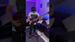 The Looper Man - Bass Guitar Jazz & Funk Loop Solo #guitar #guitarloop #loop #bass #basssolo