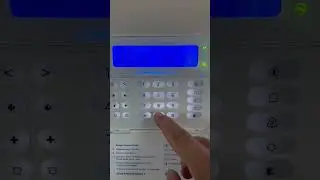 DSC NEO weekly timer test programming