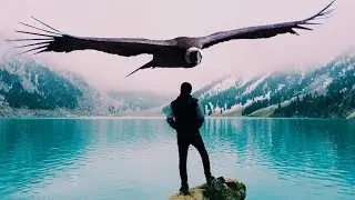 ✔El Condor Andino, Perú.