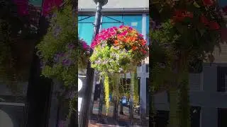 Flowers! Town Center!