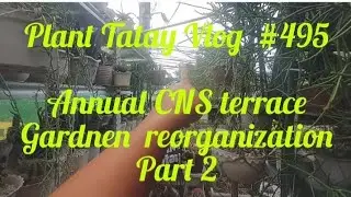 PLANT TATAY VLOG # 495: Organizing the CNS Terrace garden for 2025 - Part 2