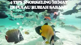 BIAYA SNORKELING DI PULAU RUBIAH SABANG [ TIPS SNORKELING HEMAT DI SABANG ]
