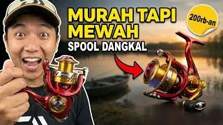 5 Reel LONG CAST Murah Terbaik 2025! Power Handle 🎣 Dibawah 500 Ribu