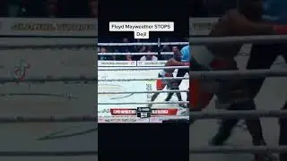 Floyd Mayweather STOPS Deji #ufc #mma #deji #shorts