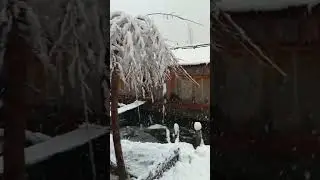Snowfall ❄️ at Dal Lake, Srinagar.        #kashmir #snowfall #travel #srinagar #dallake
