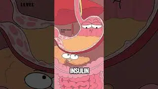 Khana Khane Ke Baad Bhi Bhook Kyun Lagti Hai? | Blood Sugar Spike (Insulin) 📉 #shorts #BioBruh