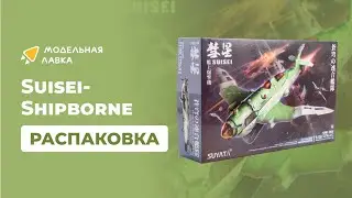 Сборная модель Suisei-Shipborne. Распаковка