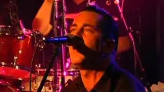 THE PEACOCKS - Tape Girl (Live)