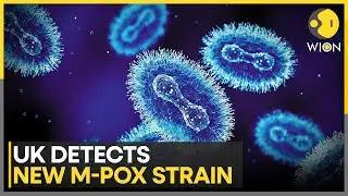 UK Detects New Mpox Strain as Genomic Tests Reveal Mixed Genetic Material | WION