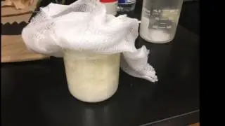 Honors Chemistry Project 2017