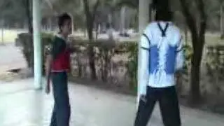 Practica en Viveros 03