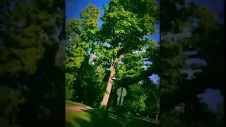 Homes for Sale in Riverside,IL, LIVING THE LIFESTYLE Top Buyer's Agent, Nancy Shelven Realtor&reg;