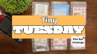 Tiny Tuesday! | Save $20 | Box Challenge | January | Savings Challenges | Savings Goals